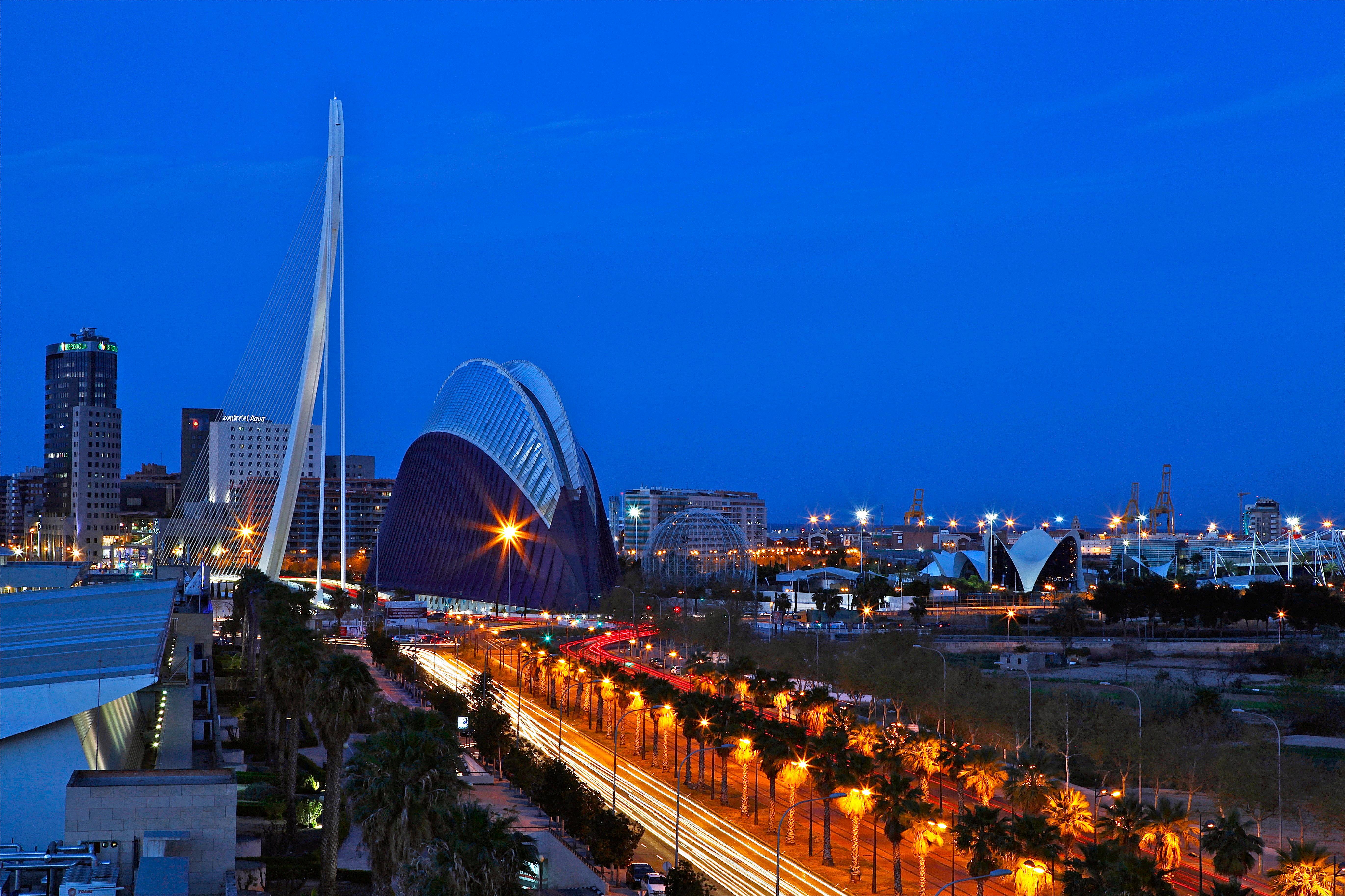 Holiday Inn Express Ciudad De Las Ciencias, An Ihg Hotel Валенсія Екстер'єр фото